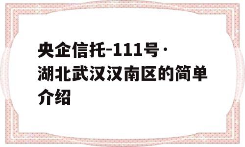 央企信托-111号·湖北武汉汉南区的简单介绍