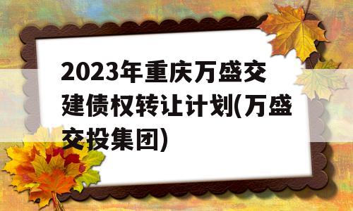 2023年重庆万盛交建债权转让计划(万盛交投集团)