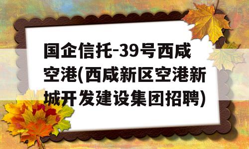 国企信托-39号西咸空港(西咸新区空港新城开发建设集团招聘)