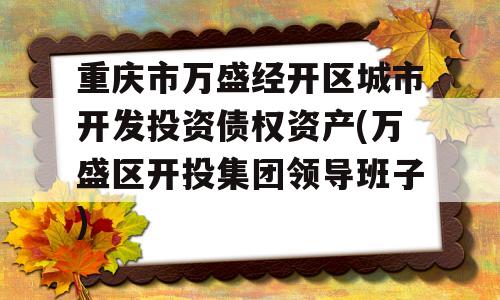 重庆市万盛经开区城市开发投资债权资产(万盛区开投集团领导班子)