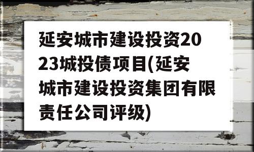 延安城市建设投资2023城投债项目(延安城市建设投资集团有限责任公司评级)