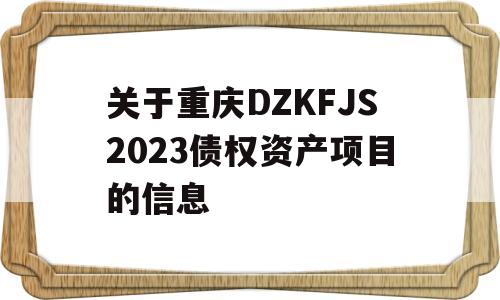 关于重庆DZKFJS2023债权资产项目的信息