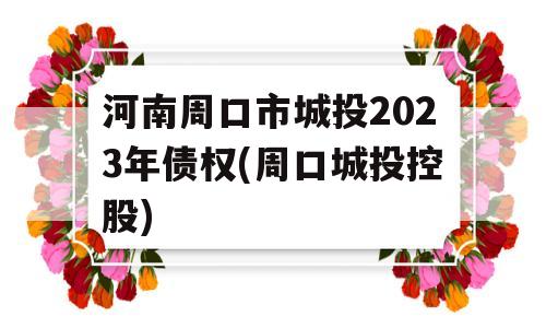 河南周口市城投2023年债权(周口城投控股)