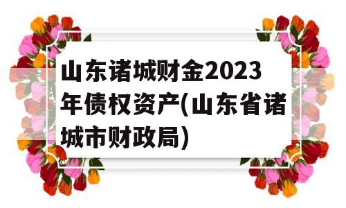 山东诸城财金2023年债权资产(山东省诸城市财政局)