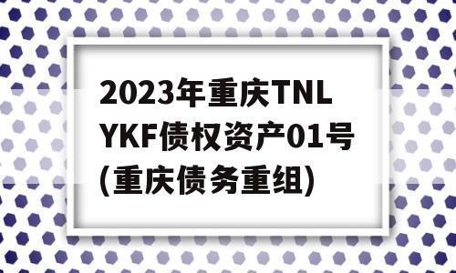 2023年重庆TNLYKF债权资产01号(重庆债务重组)