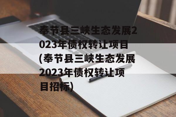 奉节县三峡生态发展2023年债权转让项目(奉节县三峡生态发展2023年债权转让项目招标)