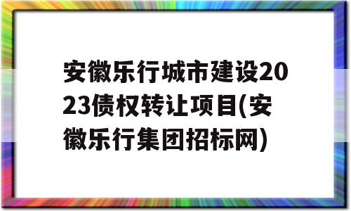 安徽乐行城市建设2023债权转让项目(安徽乐行集团招标网)