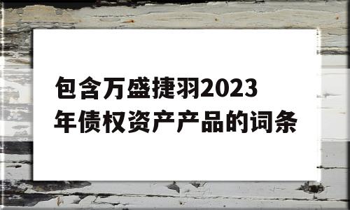 包含万盛捷羽2023年债权资产产品的词条