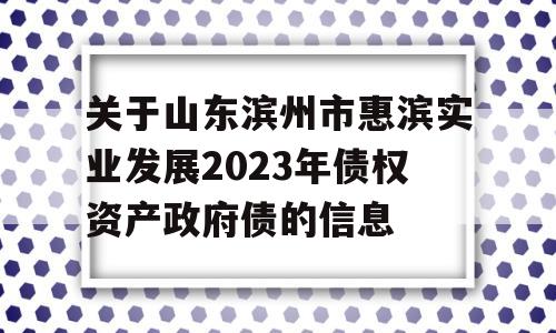 关于山东滨州市惠滨实业发展2023年债权资产政府债的信息