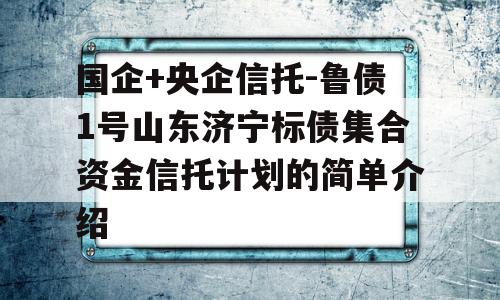 国企+央企信托-鲁债1号山东济宁标债集合资金信托计划的简单介绍