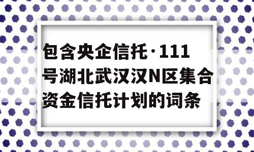 包含央企信托·111号湖北武汉汉N区集合资金信托计划的词条