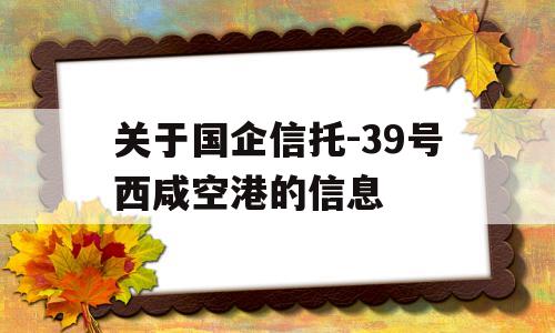 关于国企信托-39号西咸空港的信息