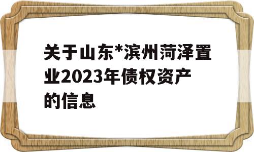 关于山东*滨州菏泽置业2023年债权资产的信息