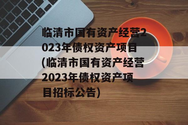 临清市国有资产经营2023年债权资产项目(临清市国有资产经营2023年债权资产项目招标公告)