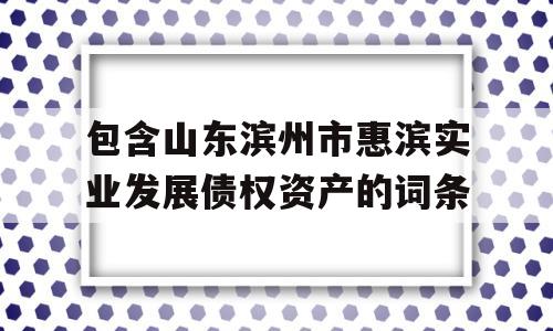 包含山东滨州市惠滨实业发展债权资产的词条