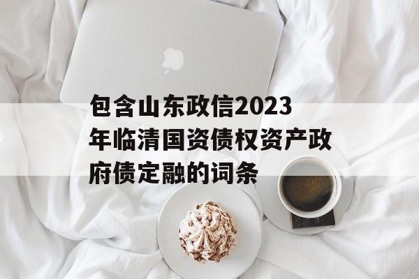 包含山东政信2023年临清国资债权资产政府债定融的词条