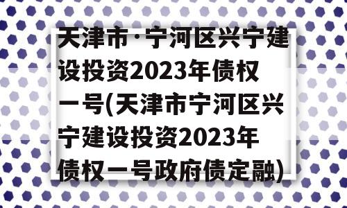 天津市·宁河区兴宁建设投资2023年债权一号(天津市宁河区兴宁建设投资2023年债权一号政府债定融)