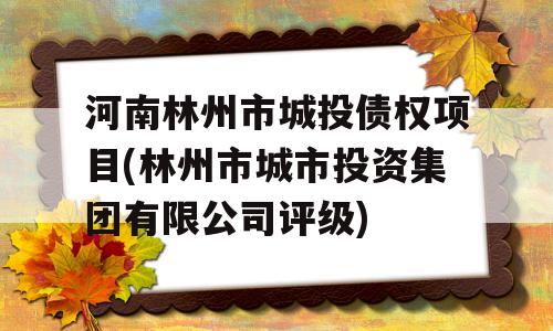 河南林州市城投债权项目(林州市城市投资集团有限公司评级)