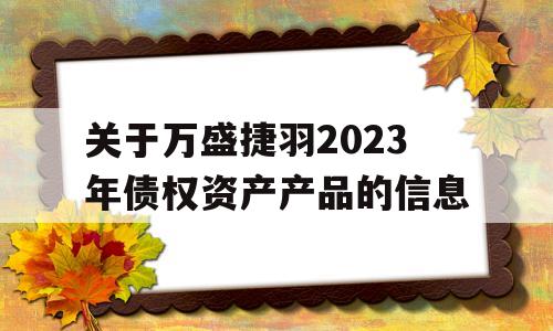 关于万盛捷羽2023年债权资产产品的信息