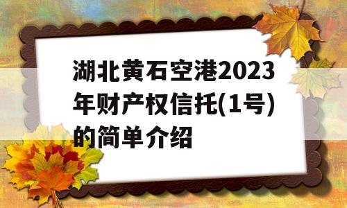 湖北黄石空港2023年财产权信托(1号)的简单介绍