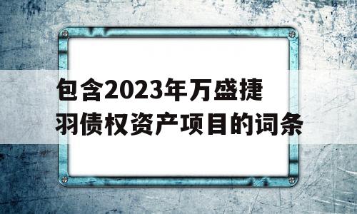 包含2023年万盛捷羽债权资产项目的词条