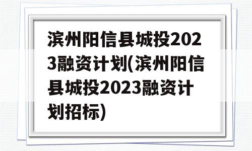 滨州阳信县城投2023融资计划(滨州阳信县城投2023融资计划招标)