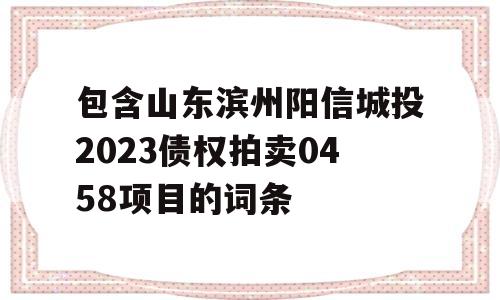 包含山东滨州阳信城投2023债权拍卖0458项目的词条