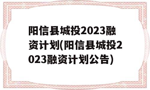 阳信县城投2023融资计划(阳信县城投2023融资计划公告)