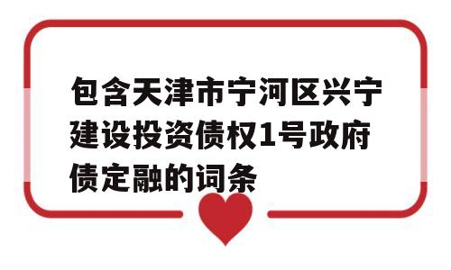 包含天津市宁河区兴宁建设投资债权1号政府债定融的词条