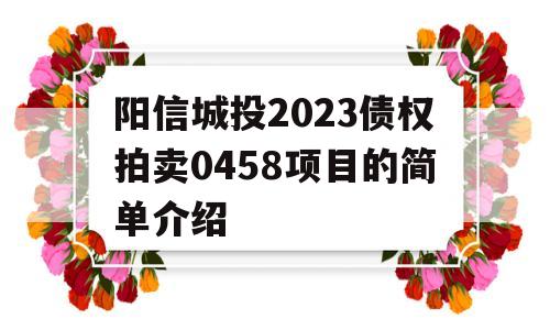 阳信城投2023债权拍卖0458项目的简单介绍