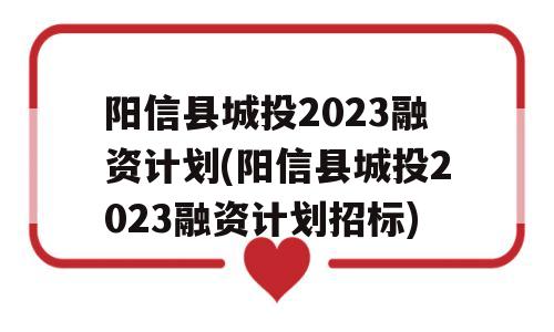 阳信县城投2023融资计划(阳信县城投2023融资计划招标)