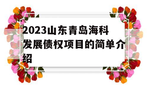 2023山东青岛海科发展债权项目的简单介绍