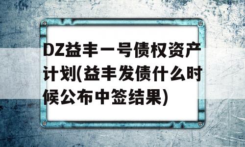 DZ益丰一号债权资产计划(益丰发债什么时候公布中签结果)