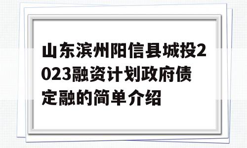 山东滨州阳信县城投2023融资计划政府债定融的简单介绍