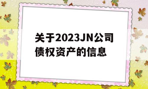 关于2023JN公司债权资产的信息