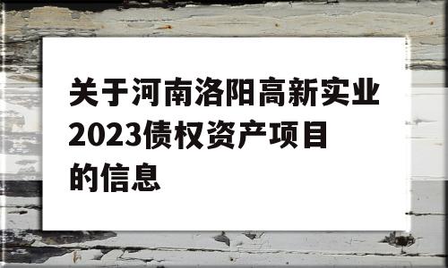 关于河南洛阳高新实业2023债权资产项目的信息