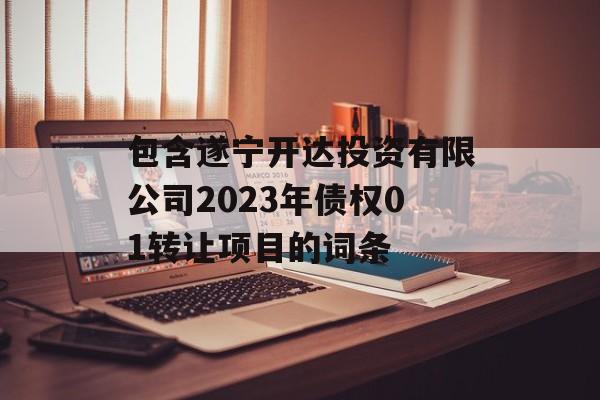 包含遂宁开达投资有限公司2023年债权01转让项目的词条