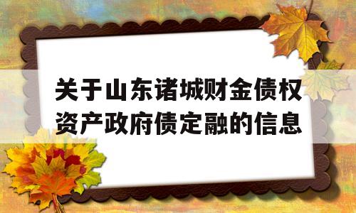 关于山东诸城财金债权资产政府债定融的信息