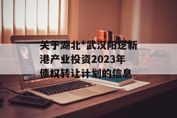 关于湖北*武汉阳逻新港产业投资2023年债权转让计划的信息