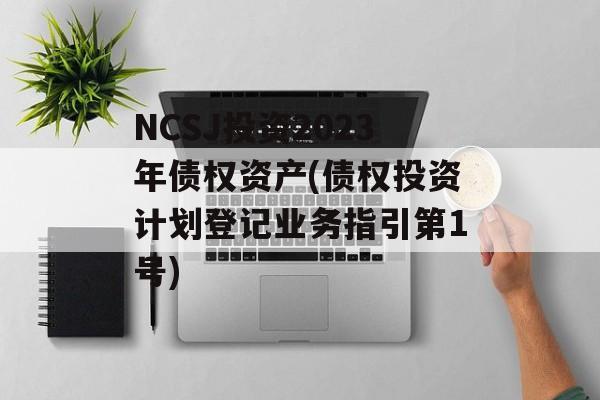 NCSJ投资2023年债权资产(债权投资计划登记业务指引第1号)