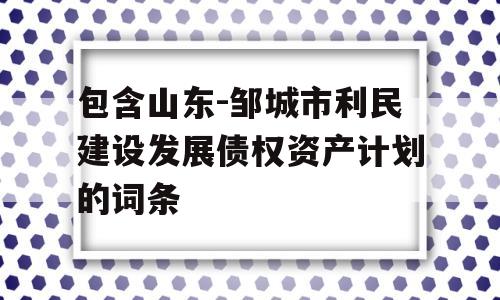 包含山东-邹城市利民建设发展债权资产计划的词条