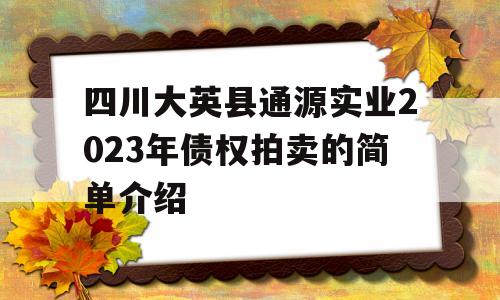 四川大英县通源实业2023年债权拍卖的简单介绍