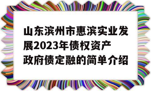 山东滨州市惠滨实业发展2023年债权资产政府债定融的简单介绍