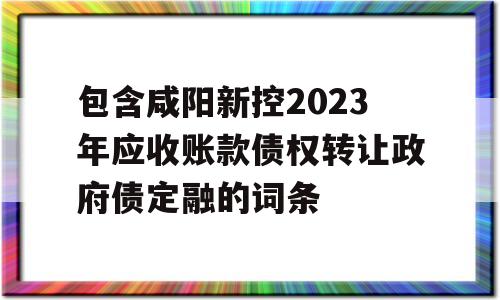 包含咸阳新控2023年应收账款债权转让政府债定融的词条