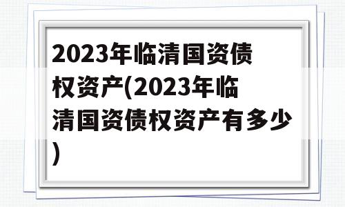 2023年临清国资债权资产(2023年临清国资债权资产有多少)