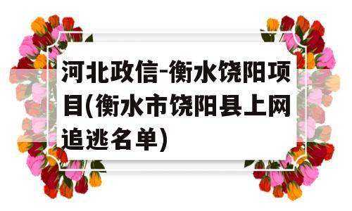 河北政信-衡水饶阳项目(衡水市饶阳县上网追逃名单)