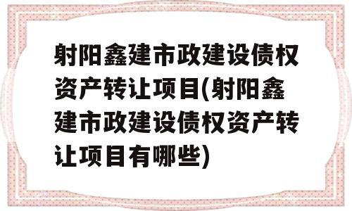 射阳鑫建市政建设债权资产转让项目(射阳鑫建市政建设债权资产转让项目有哪些)