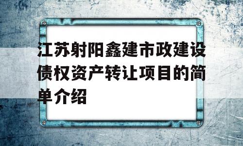 江苏射阳鑫建市政建设债权资产转让项目的简单介绍