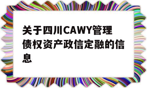 关于四川CAWY管理债权资产政信定融的信息