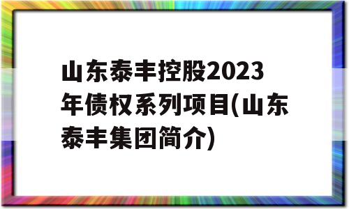 山东泰丰控股2023年债权系列项目(山东泰丰集团简介)